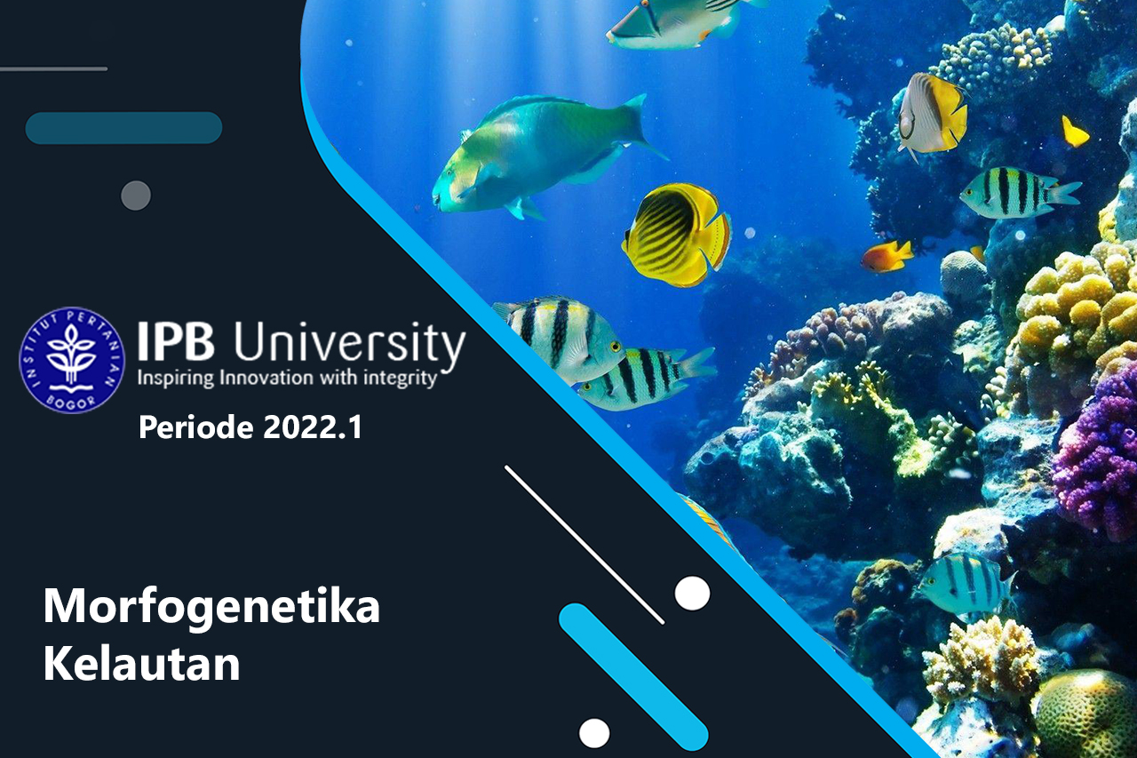 Morfogenetika Kelautan ITK312