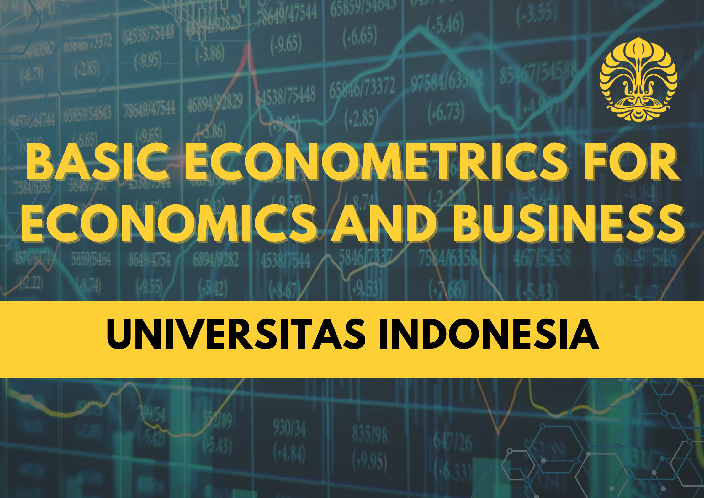 Basic Econometrics for Economics and Business MOOC000477