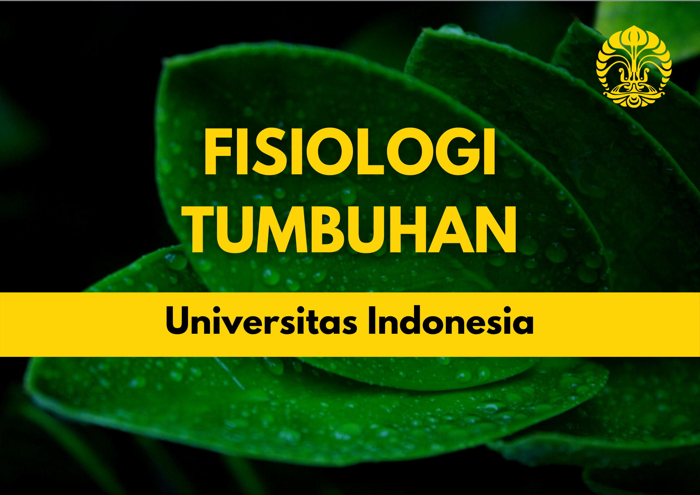 Fisiologi Tumbuhan SCBI602332