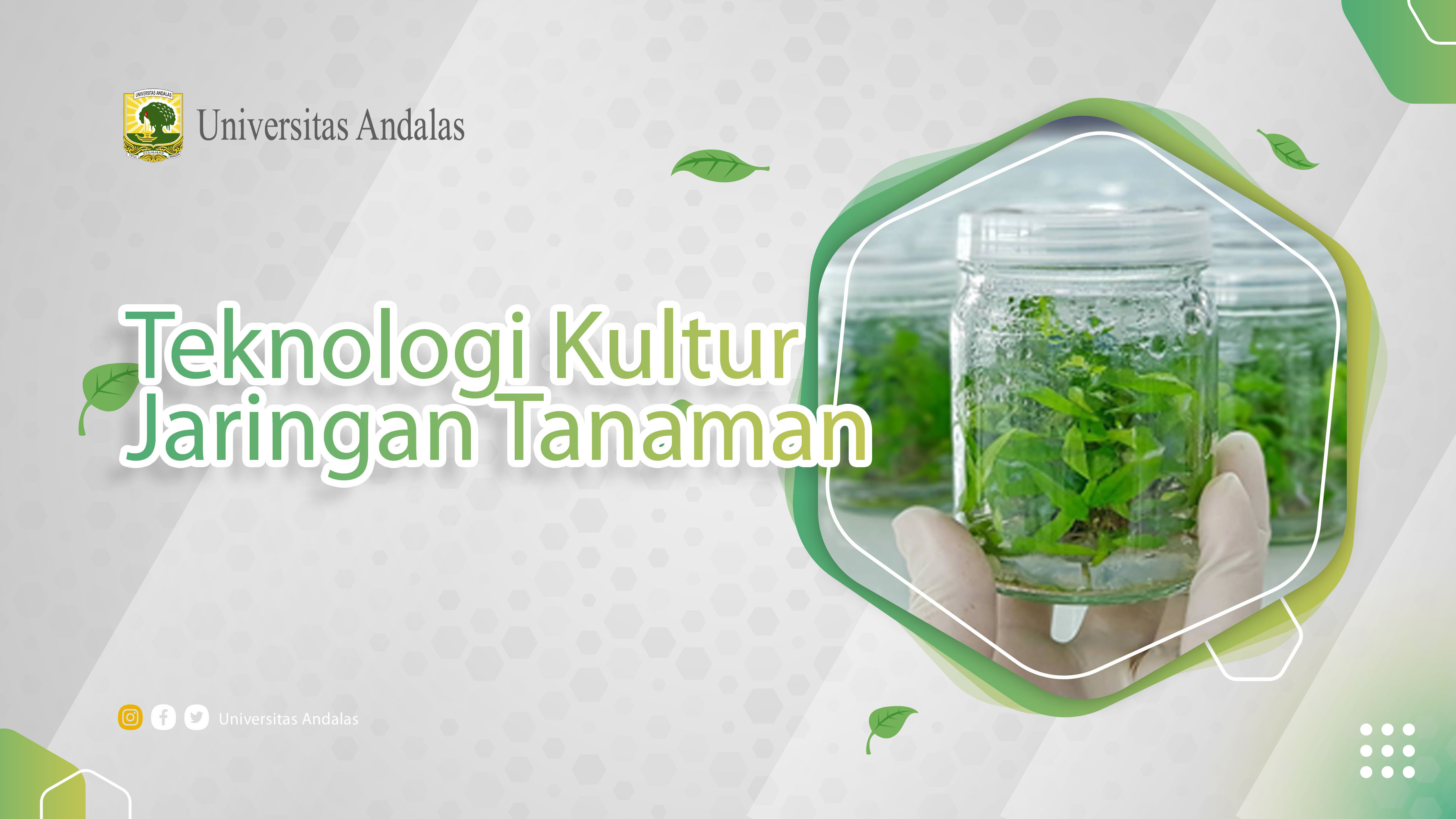 Teknologi Kultur Jaringan Tanaman Unandx-2201