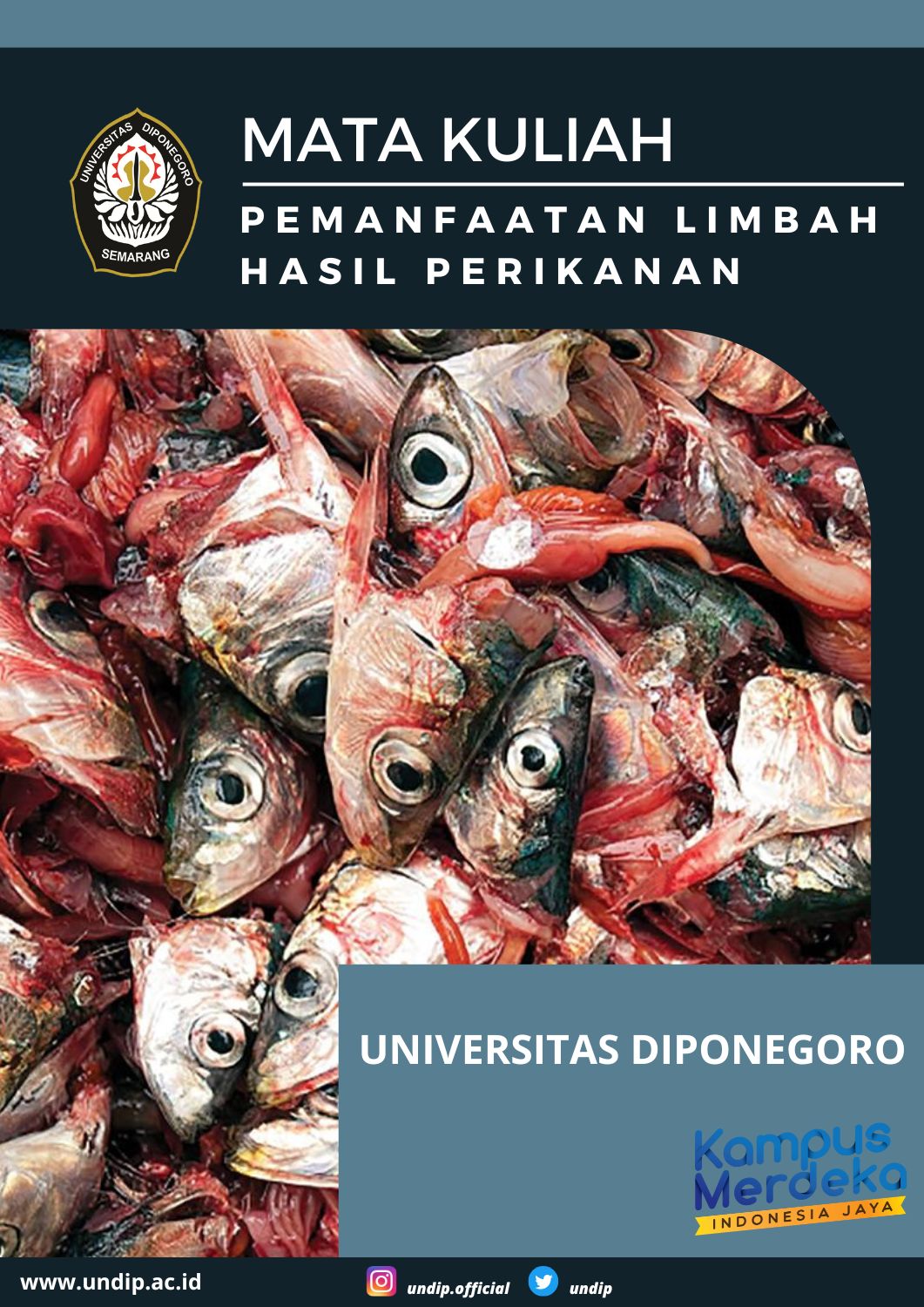 Pemanfaatan Limbah Hasil Perikanan IHP21324-00100823002006