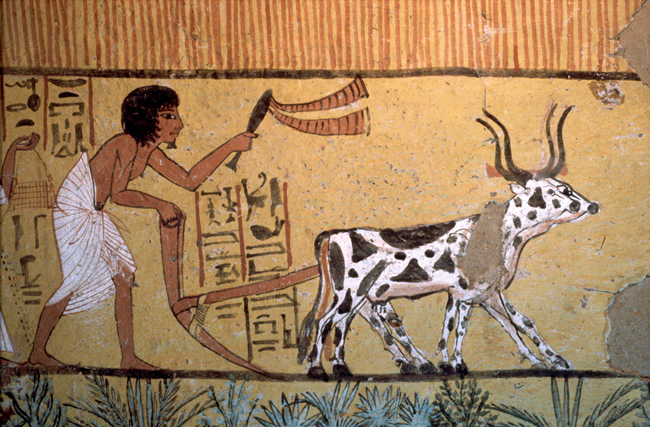 An Insight into Ancient Agricultural Civilization JAU-AIAAC