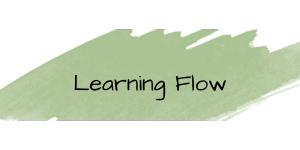 Learning flow