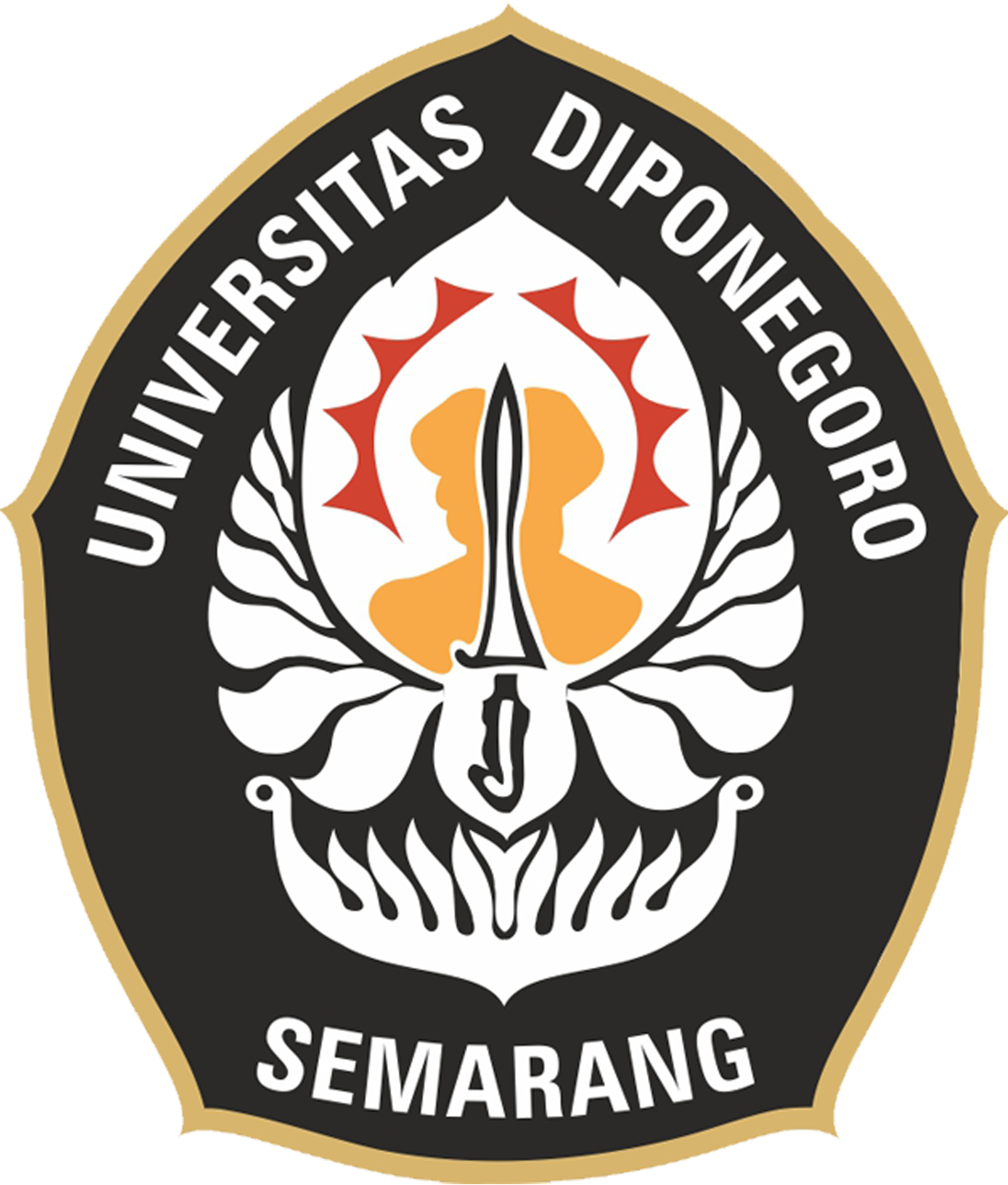 UNDIP